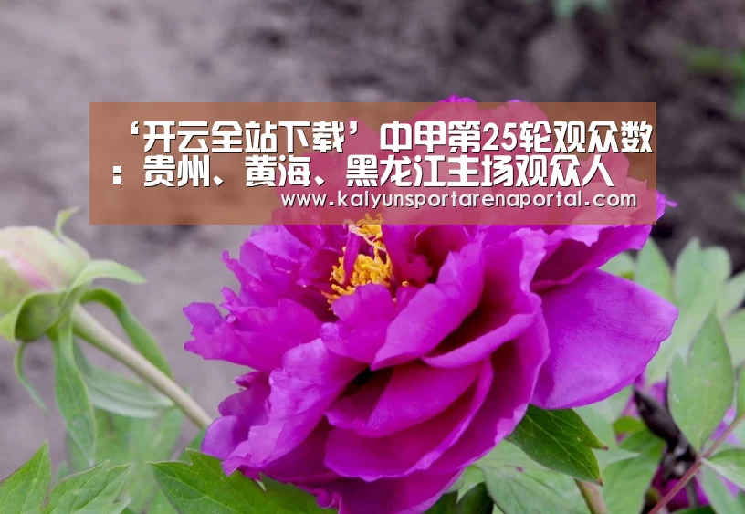 开云体育下载