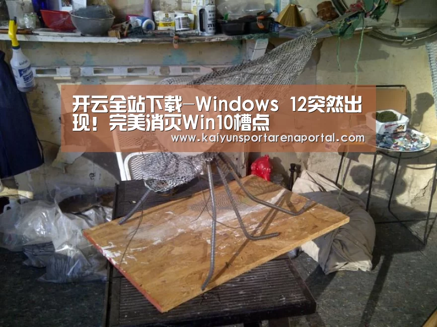开云电竞官网