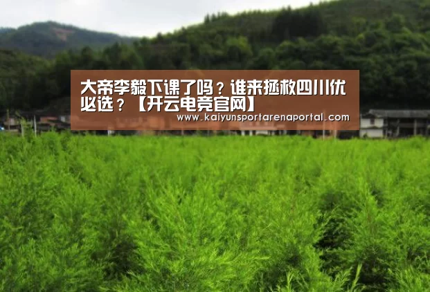 开云电竞官网