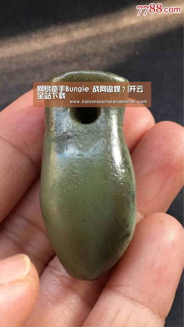开云电竞官网