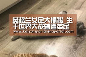 开云全站下载