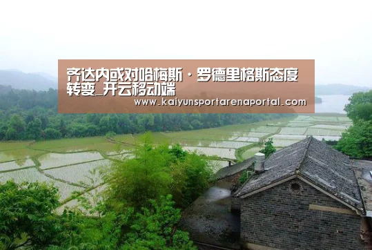 开云体育下载