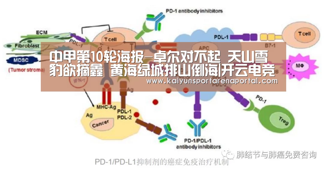 开云全站下载