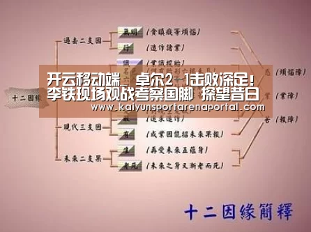 开云全站下载