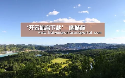 开云全站下载