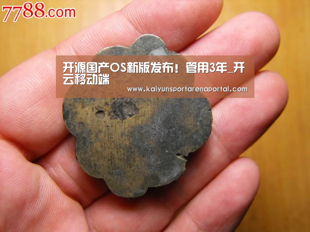 开云全站下载