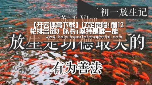 开云全站下载