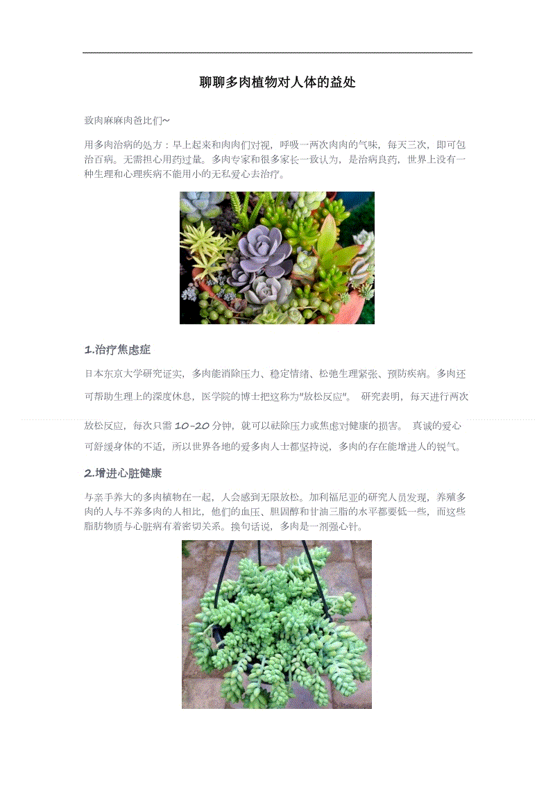 开云移动端
