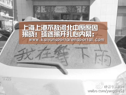开云体育下载