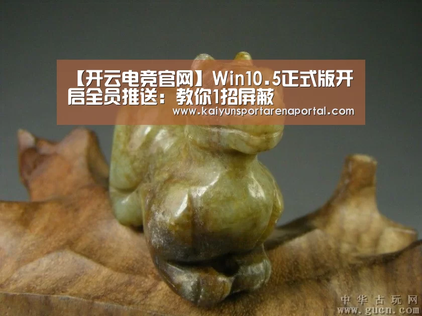开云全站下载